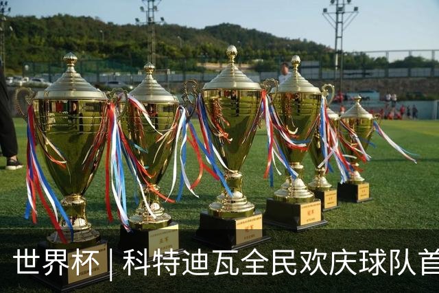 世界杯 | 科特迪瓦全民欢庆球队首进淘汰赛