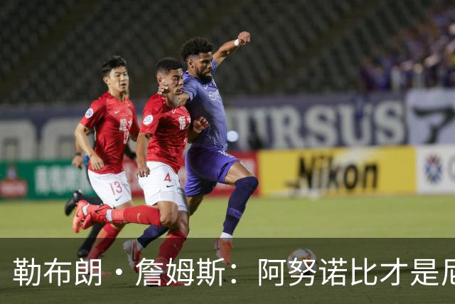 勒布朗·詹姆斯：阿努诺比才是尼克斯夺冠的“无名英雄”