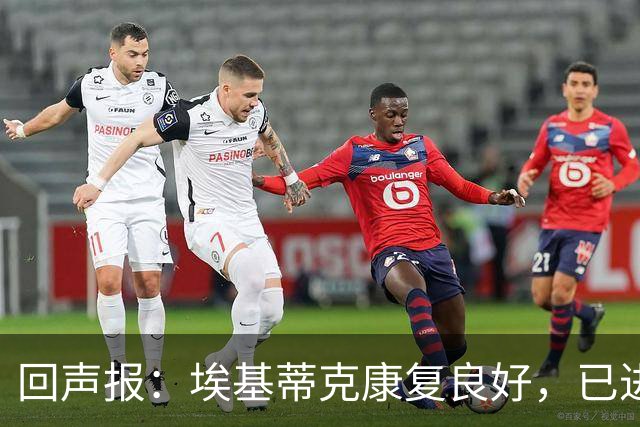 回声报：埃基蒂克康复良好，已进行部分有球训练