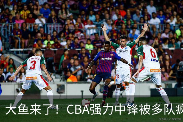 大鱼来了！CBA强力中锋被多队疯抢，或加盟广东队驰援杜锋？