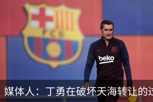 媒体人：丁勇在破坏天海转让的过程中曾拉刘奕下水
