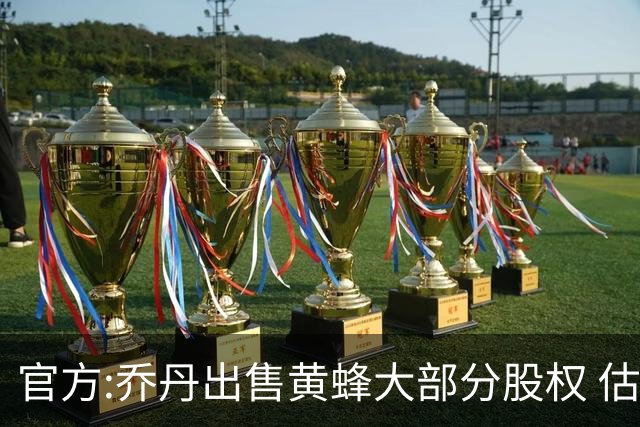 官方:乔丹出售黄蜂大部分股权 估值约30亿美元