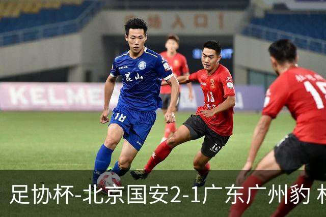 足协杯-北京国安2-1广东广州豹 林良铭梅开二度+中柱+造点+失点